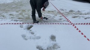 Поимка форели. Вип зона.