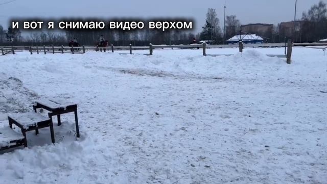 МОЯ ТРЕНИРОВКА ПО КОННОМУ СПОРТУ смотреть онлайн