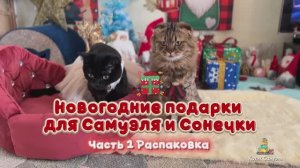 Новогодние подарки для Самуэля и Сонечки!🎁🎄 Часть 1: Распаковка 😻