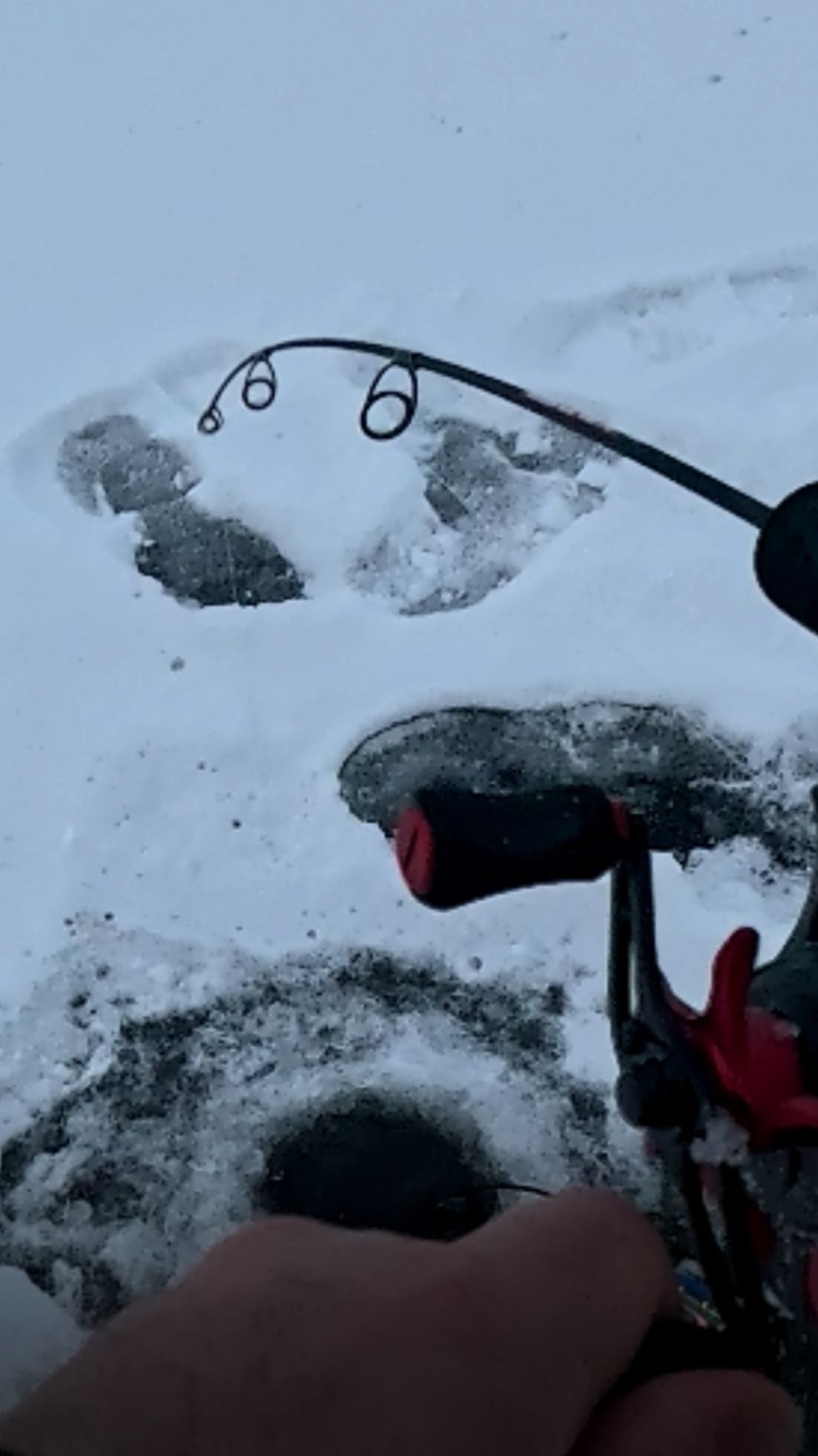 Поклёвка Судака, долбанул в руку!