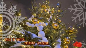 Walk in winter    *      Ernesto Cortazar