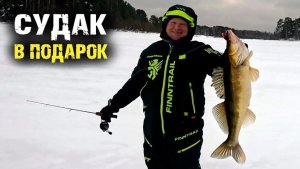 Судак мощный в подарок и шуруповерт похоронил на льду.