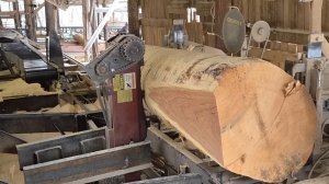 Современная лесопилка / Распиловка красного дуба.