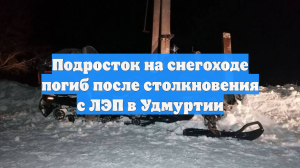 Подросток на снегоходе погиб после столкновения с ЛЭП в Удмуртии