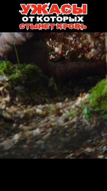 “Самая жуткая сцена из фильма ‘28 лет спустя’ | Кино Удар” | часть 2 #кино #фильмы #films #movie