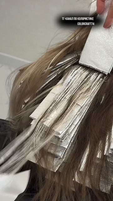 Колористика