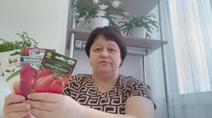 Томаты крупноплодные - фавориты прошлого сезона.