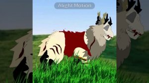 моё видео из лайка