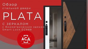 Стальная дверь Plata с биометрическим замком  Smart lock dz888 с зеркалом