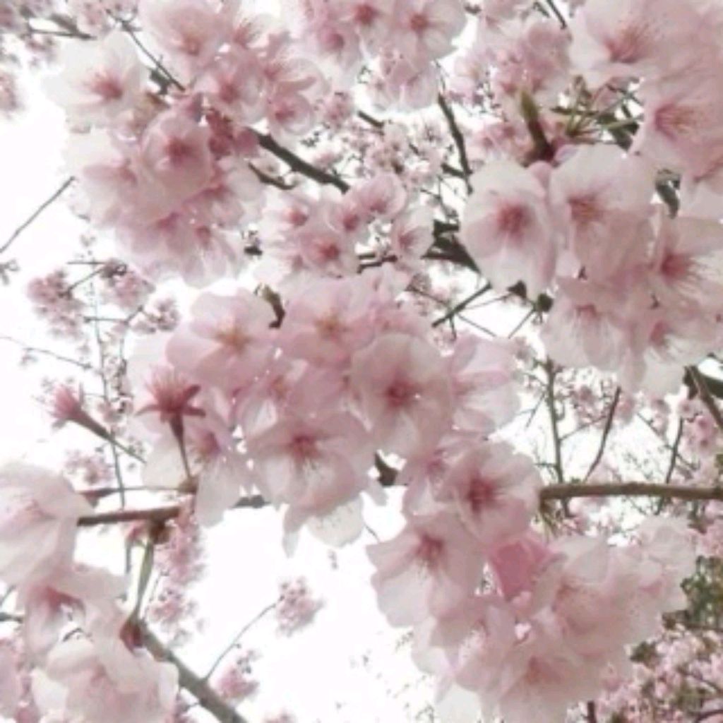 🥰 смотреть онлайн