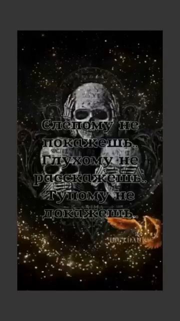 Видео с Ютуба…