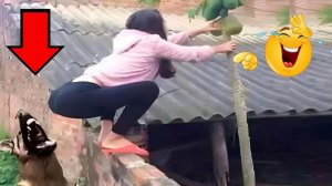 Я ржал до слез 😂 5 Минут смеха 2025 Смешные видео Лучшие Лютые ПРИКОЛЫ Января! Подборка