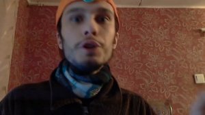 О комарах и тараканах+прикол