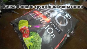 Обзор покупок с маркетплейсов: грунты для рассады, семена томатов из Китая, семена земляники
