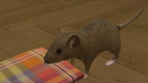 ИГРАЮ В СИМУЛЯТОР МЫШИ