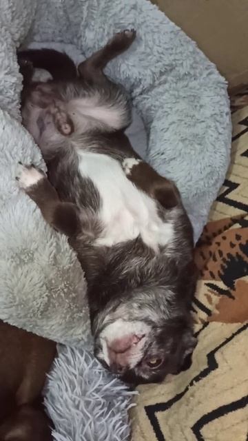 Тихий час. 7 января 2026 г. смотреть онлайн