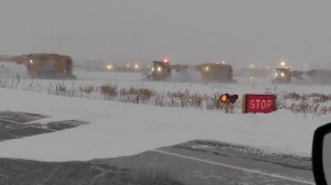 «Фрэнсис» пришёл в Питер: из-за сильного снегопада в Пулково самолёт застрял в сугробе