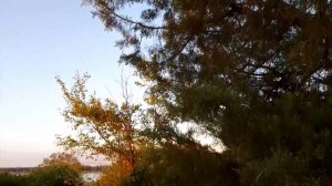 Претворяя в жизнь....