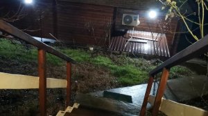 СОЧИ ГОРНОЕ ЛОО УТРО 10.01.2026