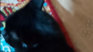 Как я монтирую видосы