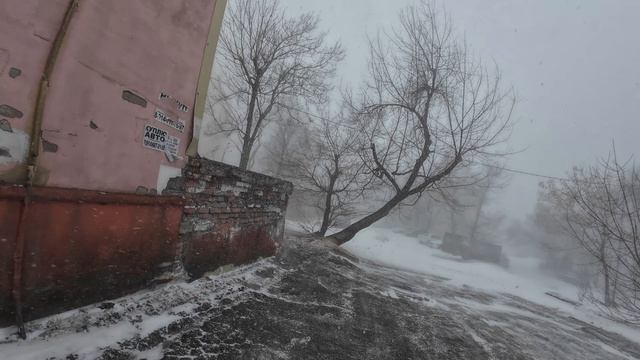 dji_mimo_20260110_134002_0_1768027933508_video