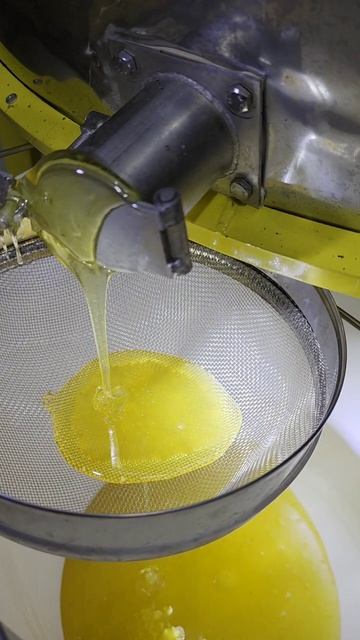 Липа-клевер смотреть онлайн