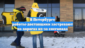 В Петербурге роботы-доставщики застревают на дорогах из-за снегопада