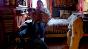 Хвостатые индивидуальности, приятный визит и яркая ваза