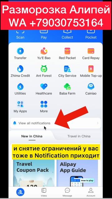 Как увидеть обьем ограничений в Алипей ШОРТС #алипей #шортс смотреть онлайн