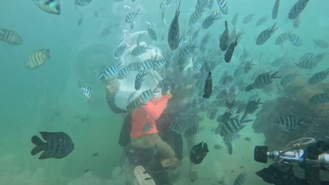 фукуок смотреть онлайн