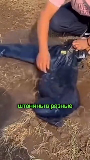 Как мой дедушка быстрее всех поливал огород