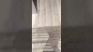 Всем привет