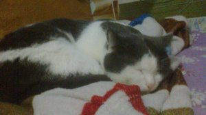 Это моё последнее видео с веб камерой ): (в этом видео будет масик)