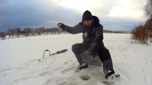 Нашёл КЛЁВОЕ место. Рыбалка на Оке на ГВОЗДИК и ШАРИК.