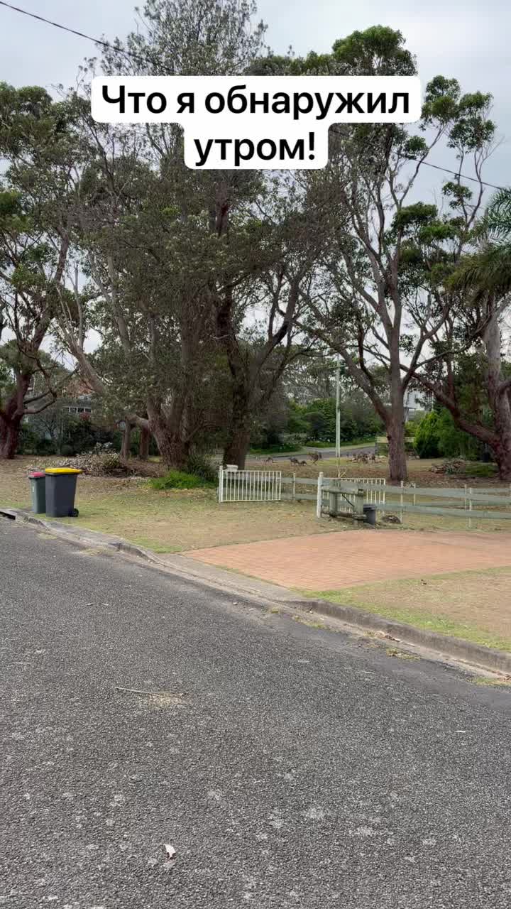 Что я увидел утром !