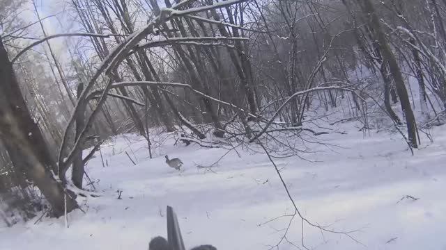 бух))) смотреть онлайн