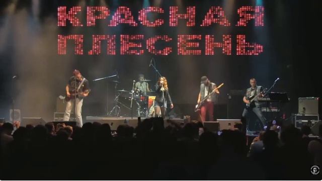 Он лучше всех знал, как всё делать... Правда, ничего у него не получалось. смотреть онлайн