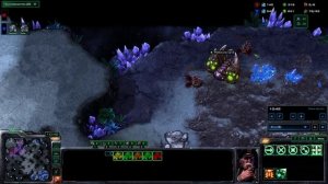 SC2 Прокси-РипНик