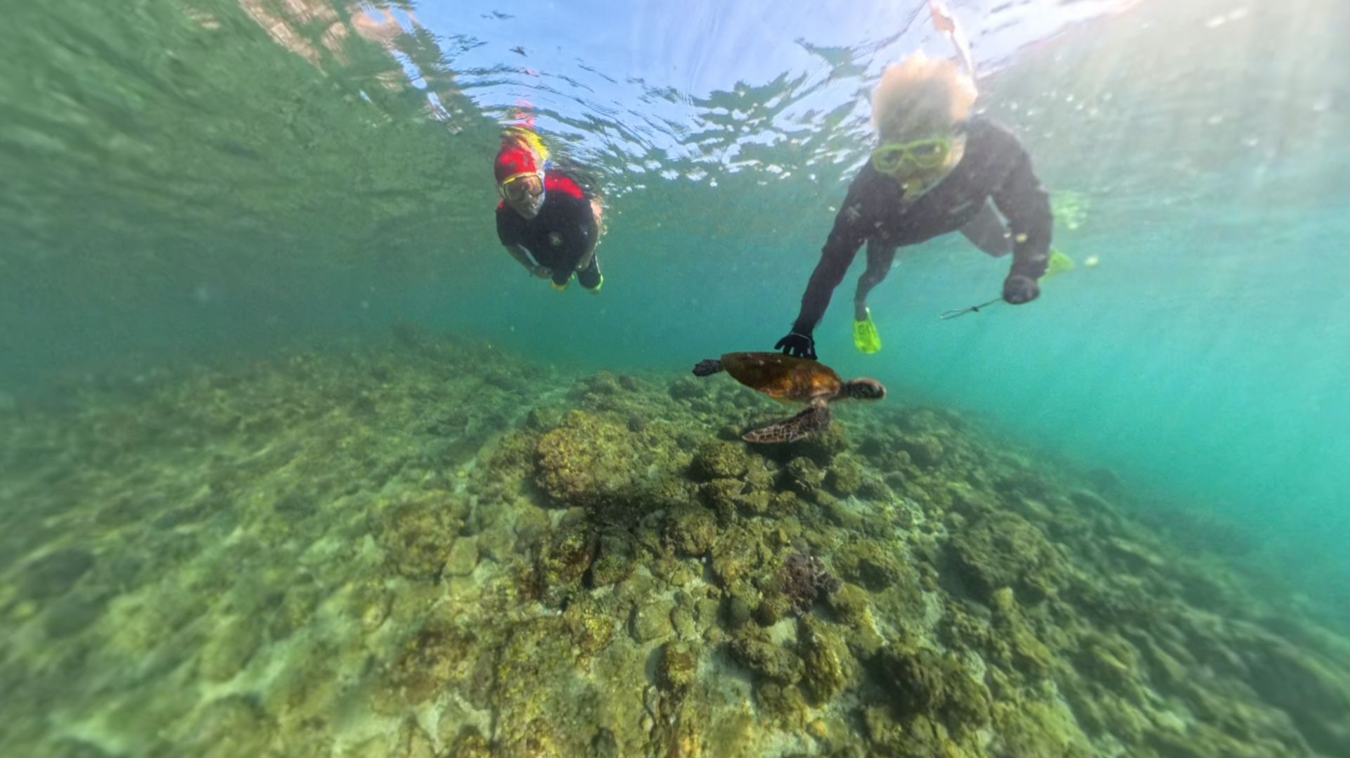 Черепаховый суп смотреть онлайн