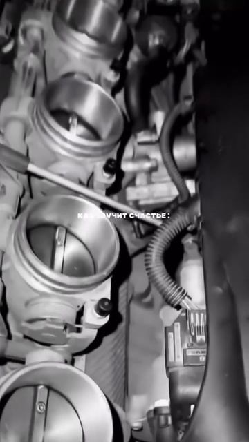 Как звучит счастье.