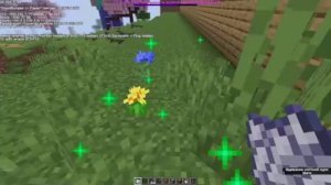 ДИКОР для дома на маседворлд