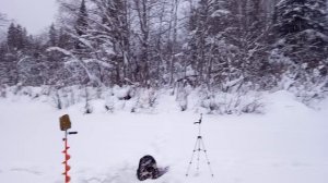 за щукой 2 продолжение