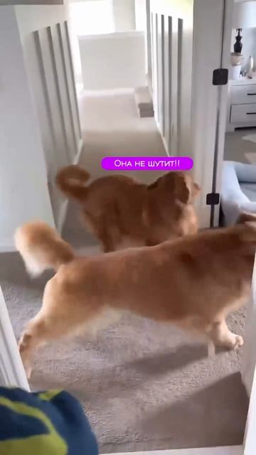 В ожидании счастья 😍))