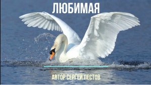 Любимая. Автор Сергей Пестов