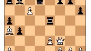 Александр Алехин гениально проводит пешку на _d5_ и позиция соперника _сыпится_