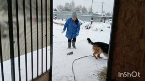 11-01-2026  Мои породы, часть |||🐔