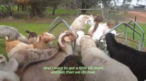 Little Girl And Her Rescued Fox Are Best Friends The Dodo Soulmates