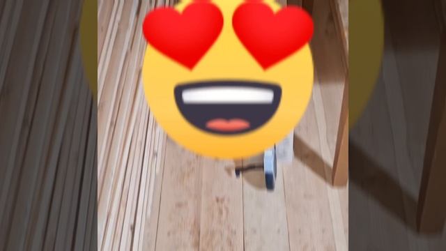 1000045650.mp4 (Собака наблюдает за устройством лестницы на 2 этаж в доме А-фрейм)