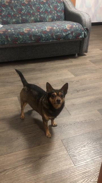 Ловкий однако смотреть онлайн