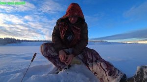 Рыбалка 10 января.Не густо,но и не пусто.